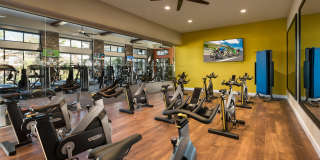 San Piedra by Mark-Taylor San Piedra by Mark-Taylor Gallery 1