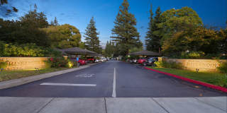 Riverwood Gallery 27