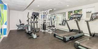 Fitz on 14th Gallery 14