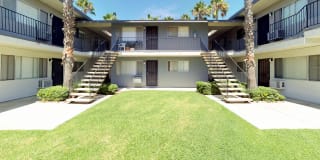 Palms of La Mesa Gallery 17