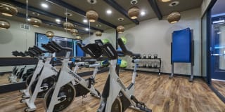 Muse Apartments Gallery 17