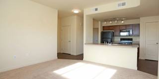 Copper Stone Gallery 10