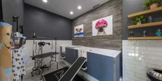 Lake's Edge Apartments Gallery 6