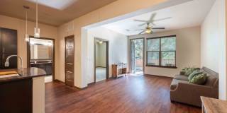 Tree Apartments Gallery 13