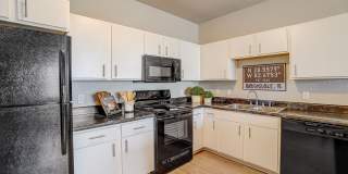 Authentix Suncoast Gallery 5