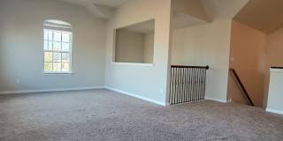 11927 Tower Forest Gallery 22