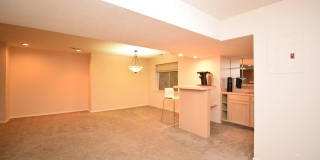 Bright Holladay 4 Bed Home – High Ceilings in Prime Location!! Gallery 22