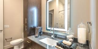 Windsor Turtle Creek Gallery 13