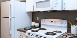 Amador Village Gallery 26