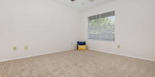 Autumn Wood Gallery 21