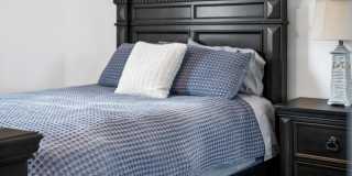 15848 Italian Cypress Way Gallery 18