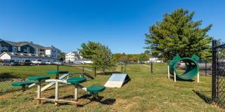 Adler Apartment Homes Gallery 39