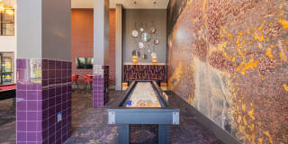 Forena Revelstoke Gallery 32