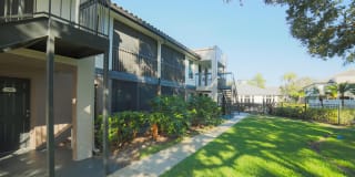 Palms of Clearwater Gallery 54