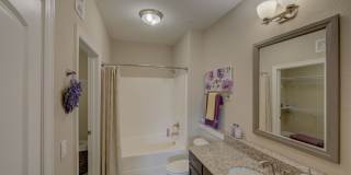 Red Knot at Edinburgh Gallery 15