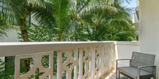 227 Brazilian Avenue Gallery 19