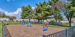 Village Square Gallery 31