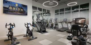 Orion Gallery 28