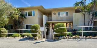 251 Lower Cliff Gallery 2