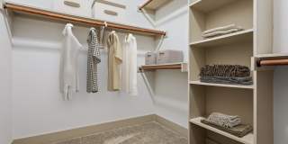 The Davis Gallery 10
