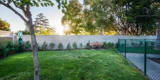 Tierra Palms Gallery 22