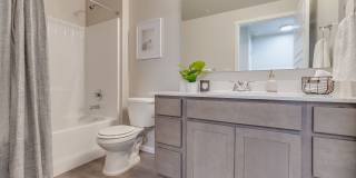 Olympus at Ten Mile Gallery 11