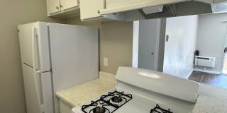 Garden View Gallery 20