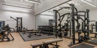 Avalon Cove Gallery 26