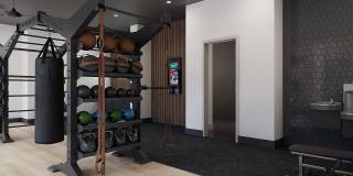 Ellison Museum District Gallery 15