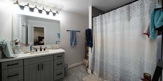 3709 Avenida Palo Verde Gallery 18