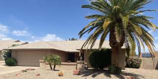 19609 N 98th Dr Gallery 3