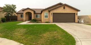 10825 Coronado Pointe Drive Gallery 1