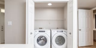 Las Palmas Gallery 25