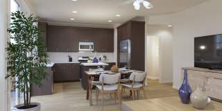 Echo Paired Homes Gallery 14