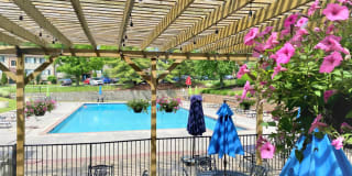 Olde Montgomery Olde Montgomery Gallery 1