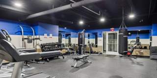 1627 on the Strip Gallery 50