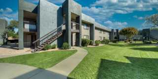 TelaVerde Gallery 18