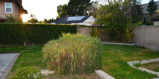 1271 Mosswood Gallery 30