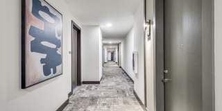 Aura Bella Gallery 13