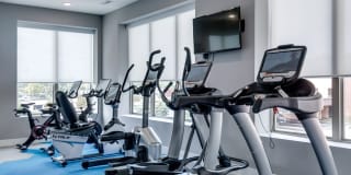 The Barton Gallery 29