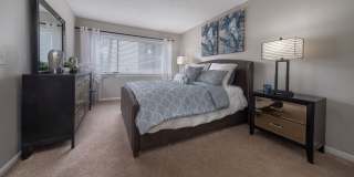 Enclave at Lake Ellenor Gallery 9