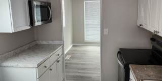 Newly Remodeled 2/1 Gallery 5