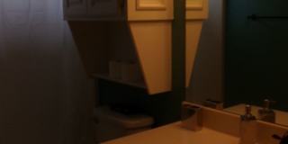 Pets Negotiable with Owner Approval! Gallery 18