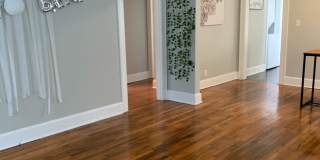 Grid House 2 blocks to ECU for rent on 5th St Gallery 7