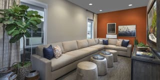 Harvest in Tracy Gallery 39