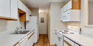 Torrey Pines Gallery 35