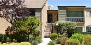 24525 Trevino Drive - 6 Gallery 13