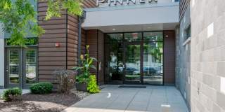 Pinnex Gallery 80