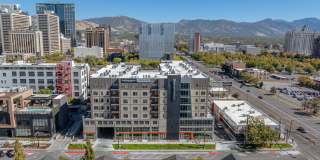 The Revival Gallery 3