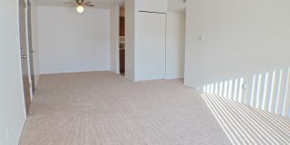 Ambassador Arms Gallery 11